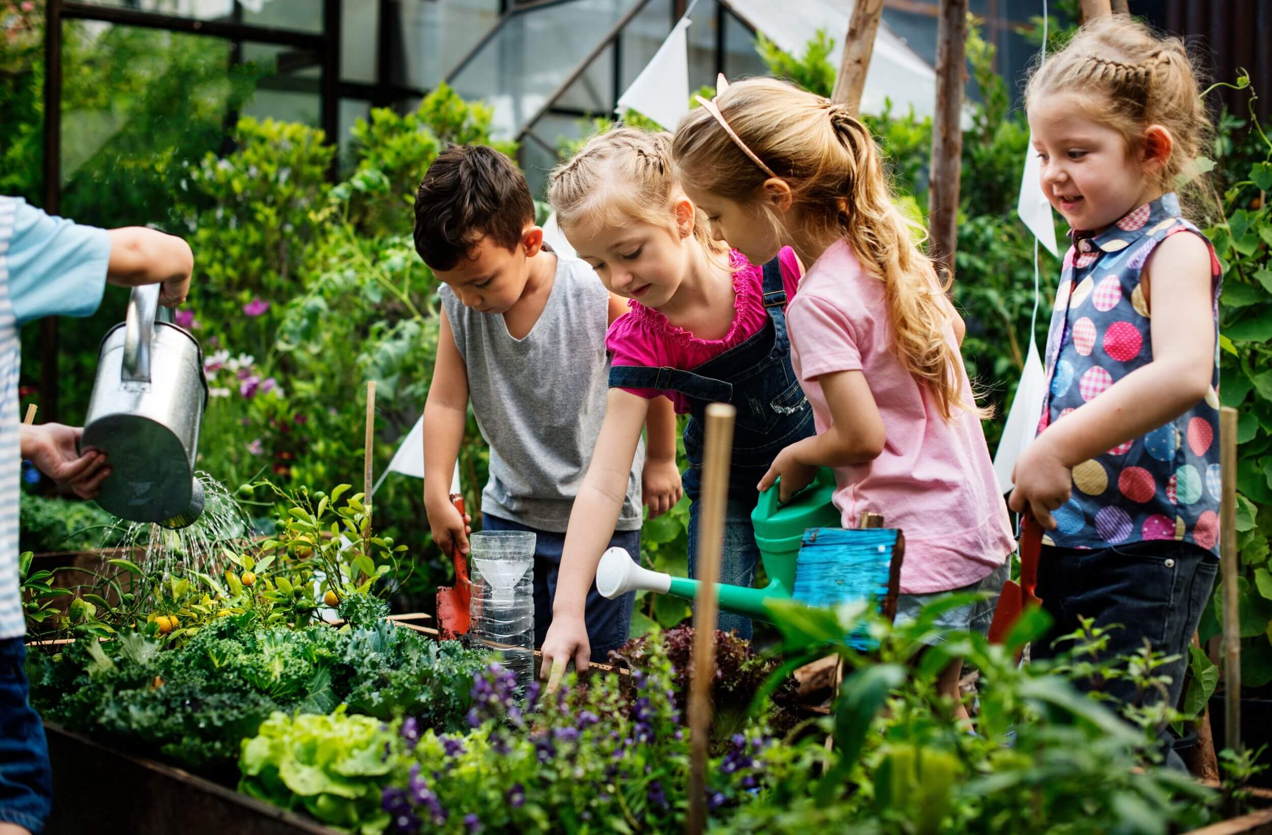 Gewächshaus für den Kindergarten Gruppe von Kindergartenkindern lernt das Gaertnern Gruppe von Kindergartenkindern lernt das Gaertnern